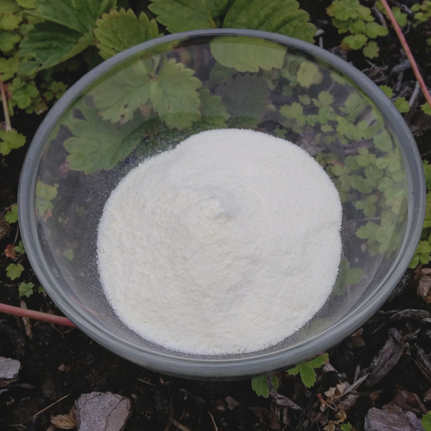 Naturkilden - KOLLAGEN av fisk, 300g